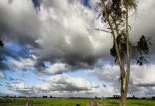 皇马前锋失准，带头羊地位岌岌可危的简单介绍